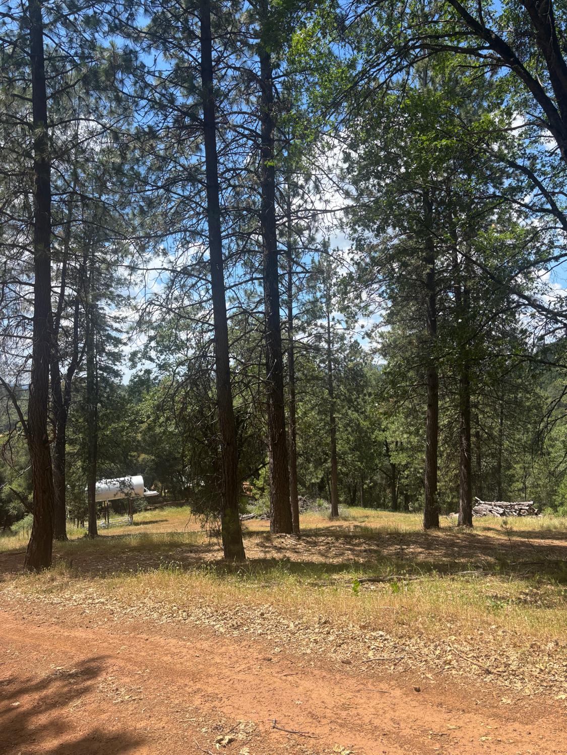 21109 Adamson Drive