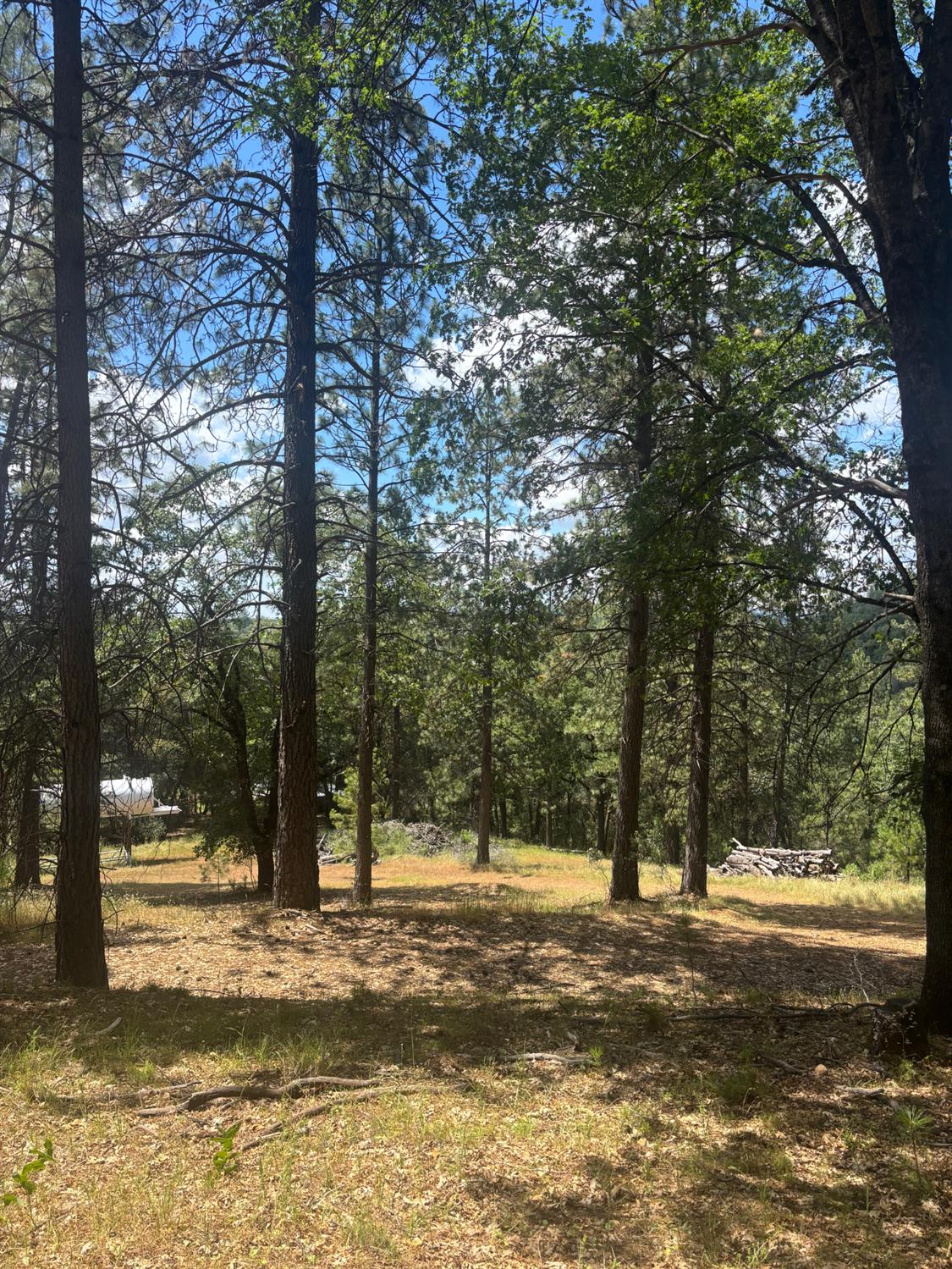 21109 Adamson Drive