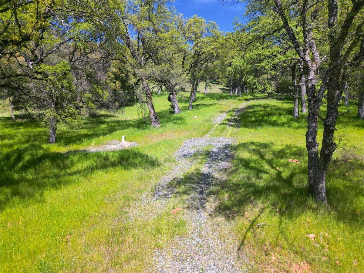 12584 Kodiak Lane
