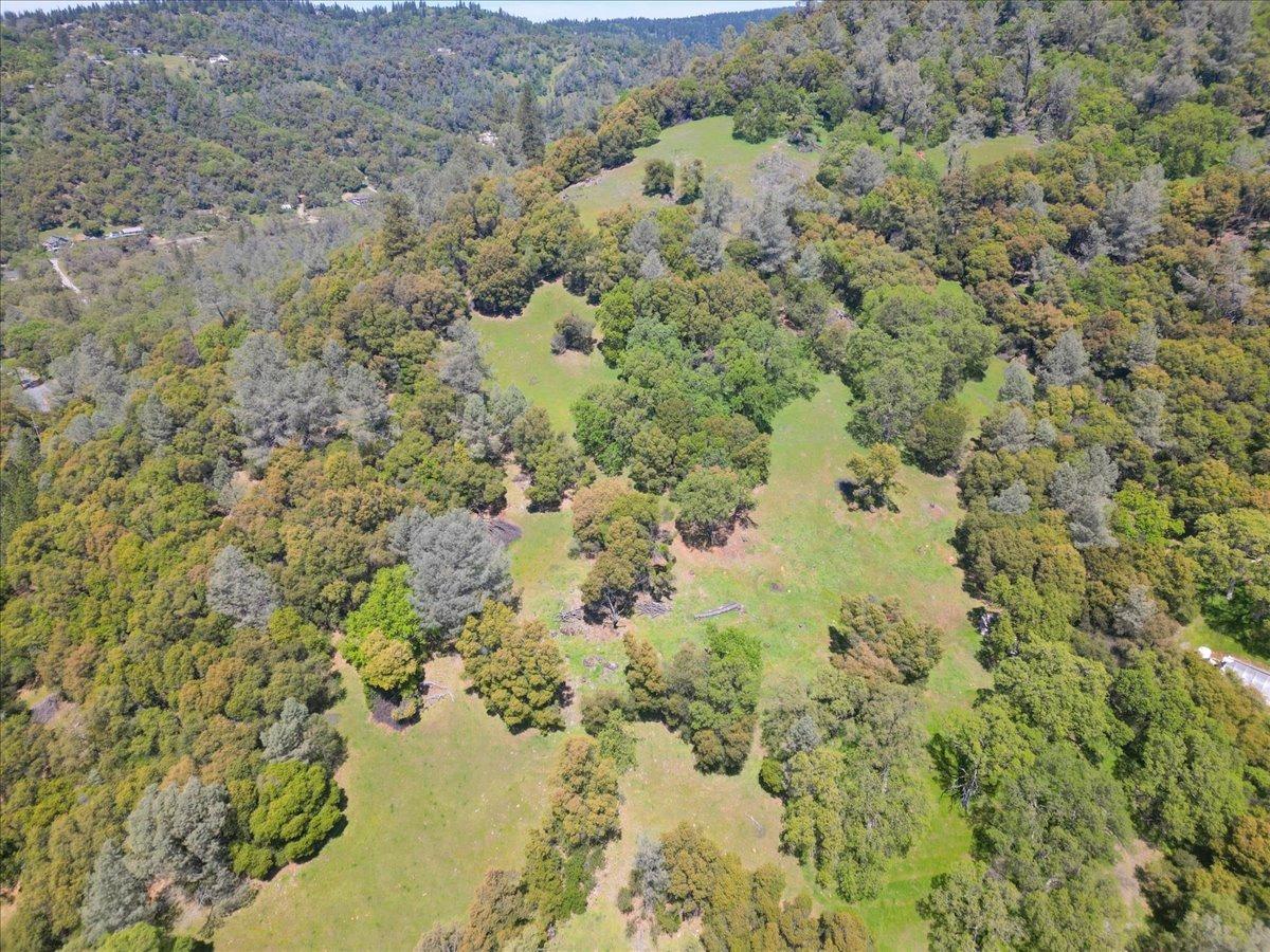 12584 Kodiak Lane