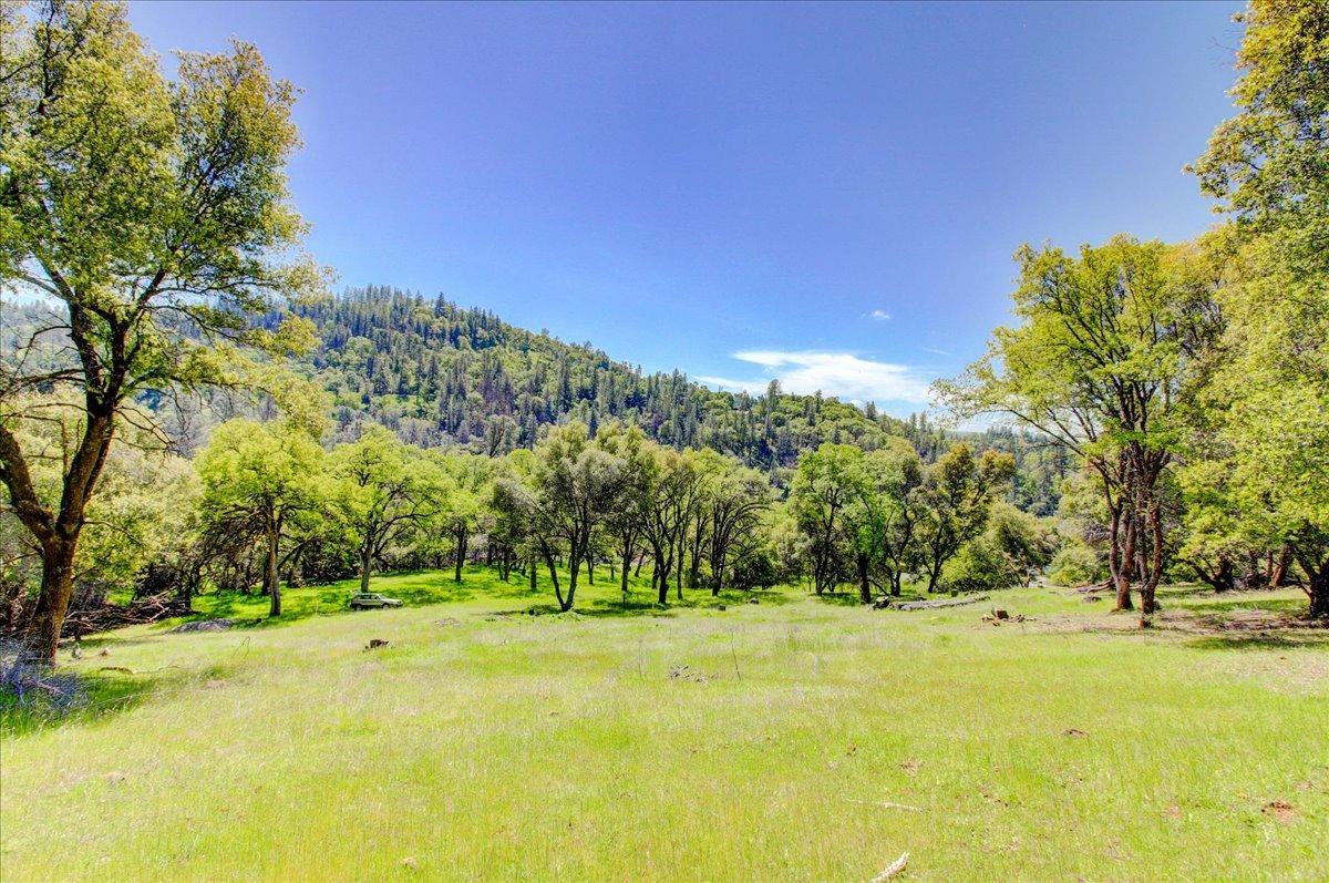 12584 Kodiak Lane