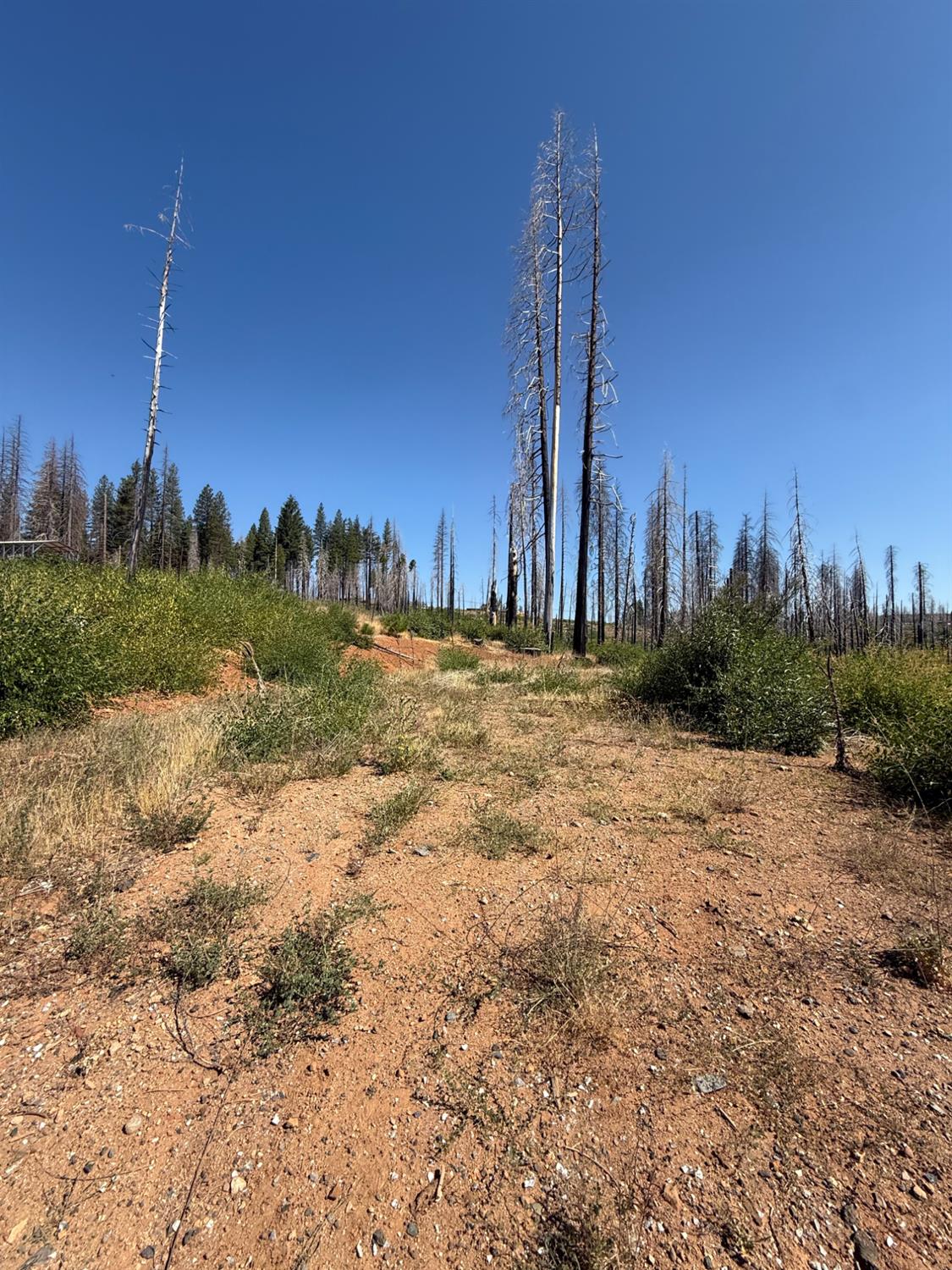 5401 Wooded Glen