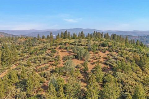MLS: 225024066