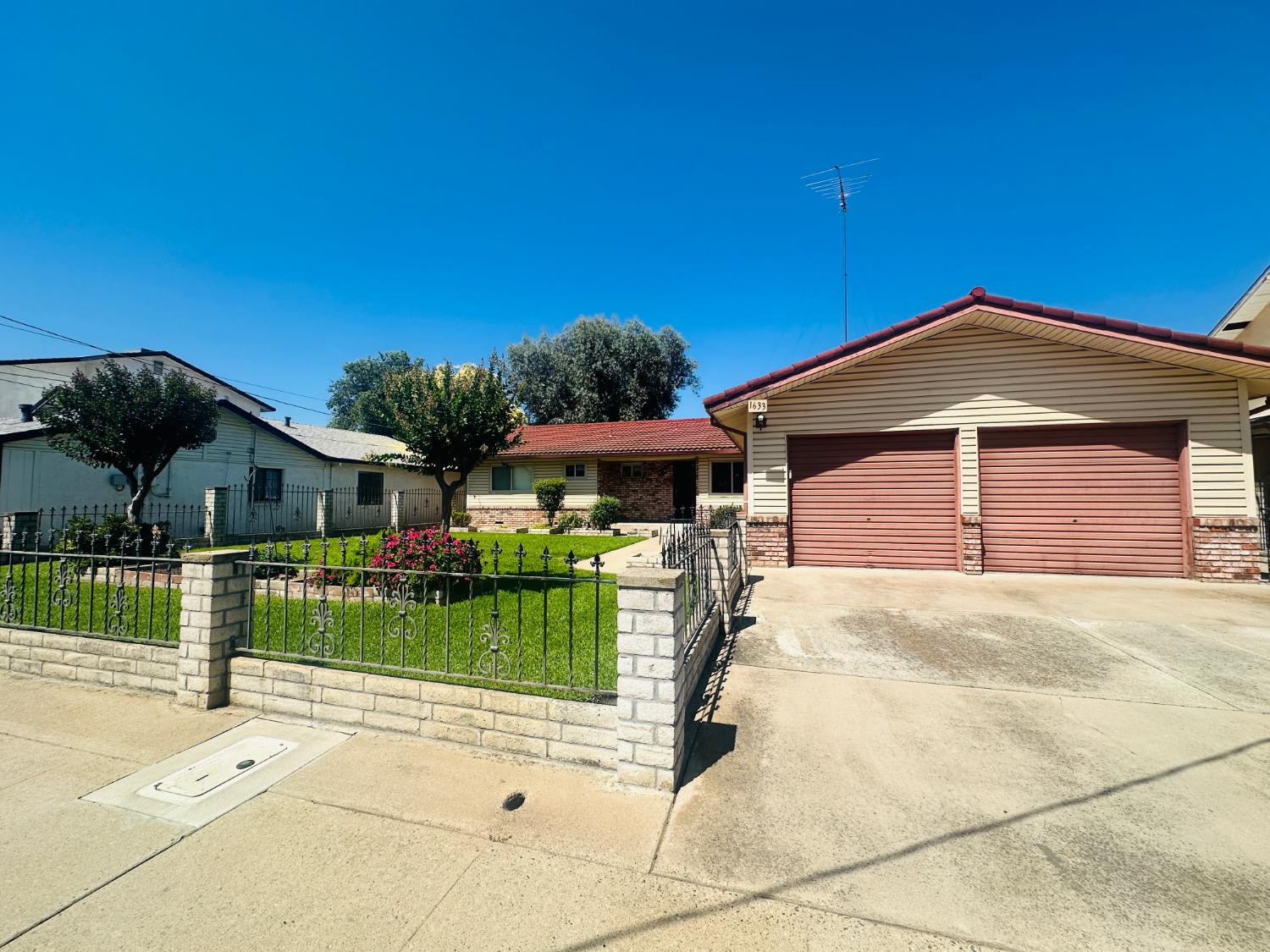 1633 Walnut