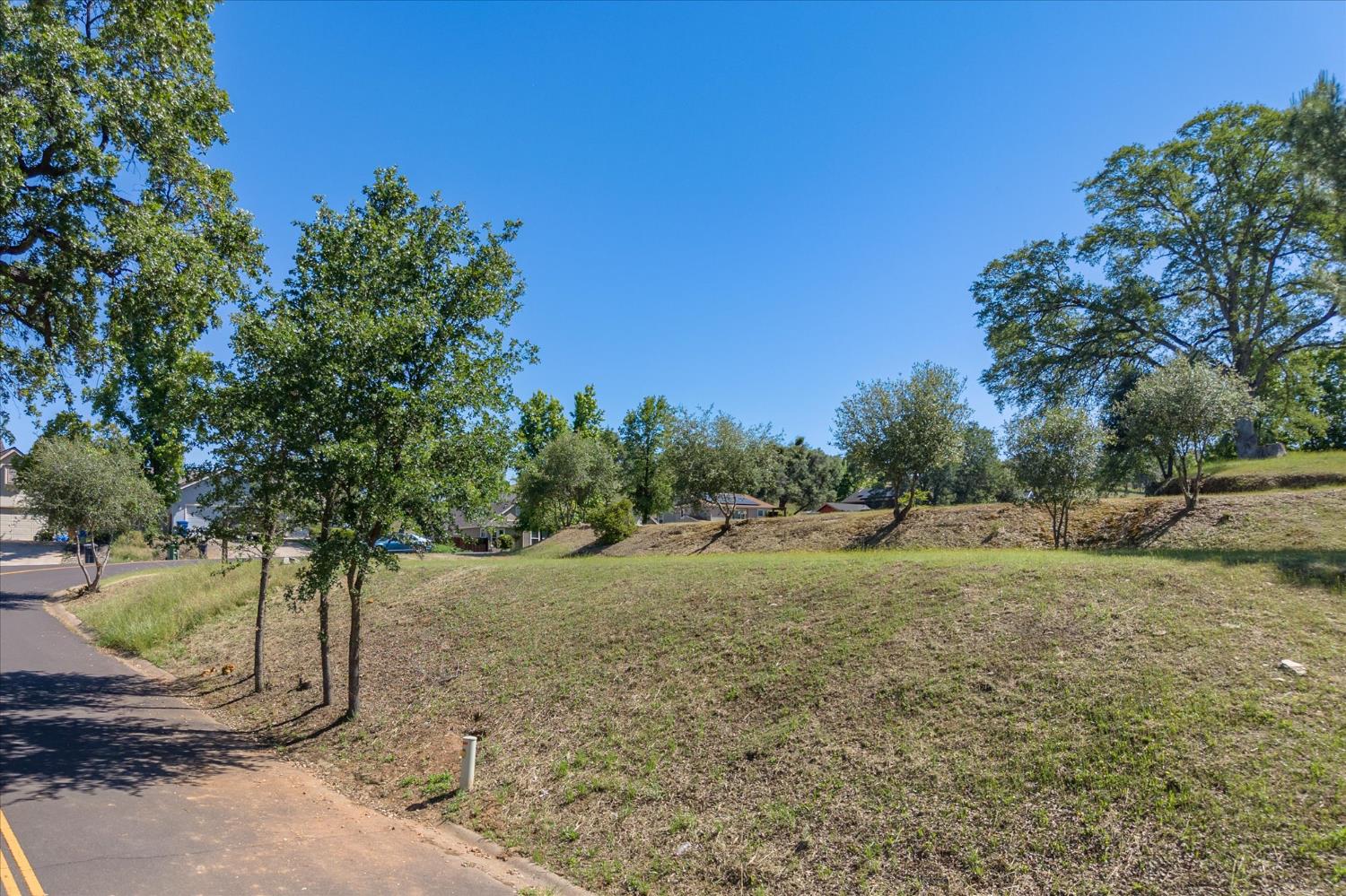 1145 Suzanne Drive