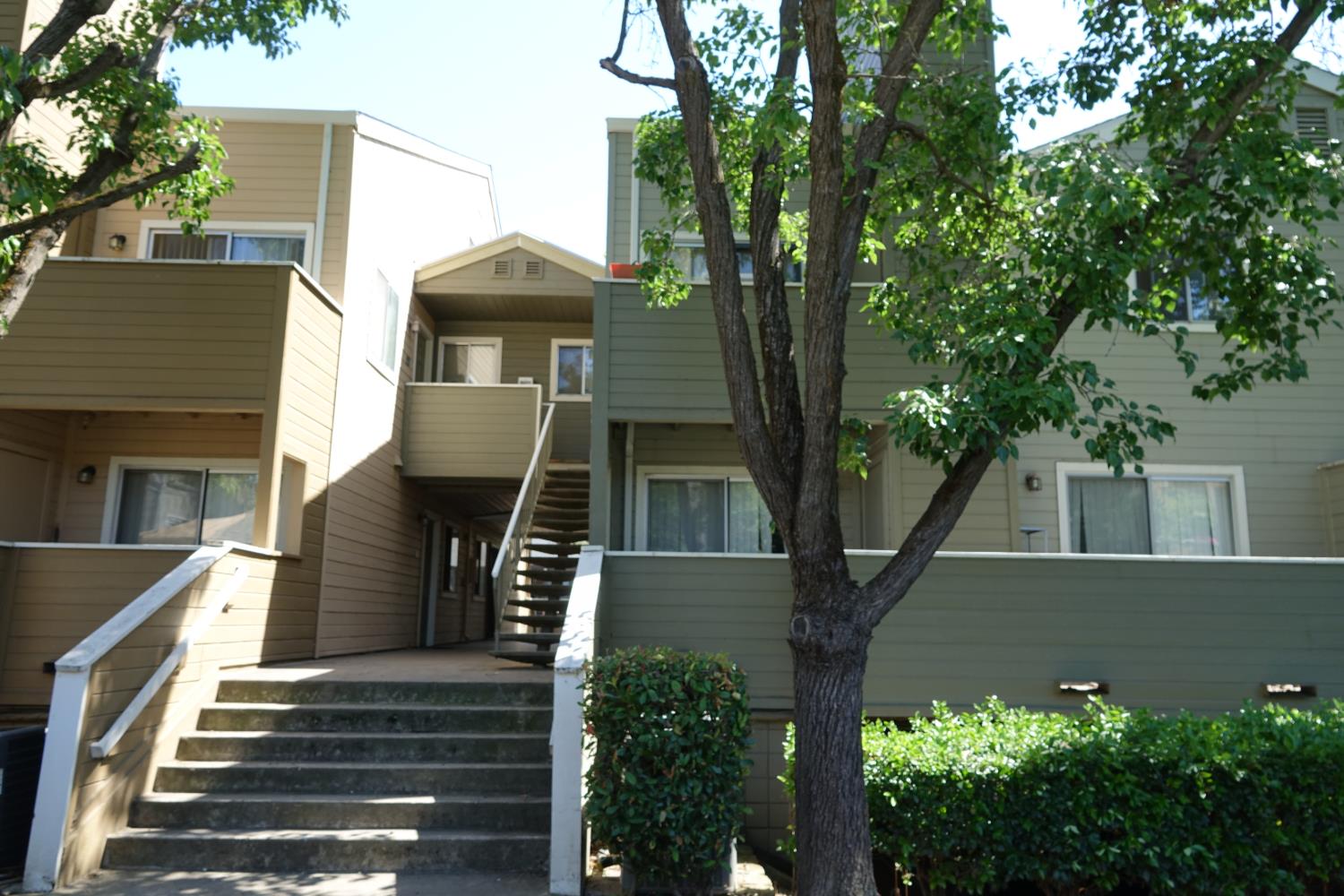 1019 Dornajo Way 256
