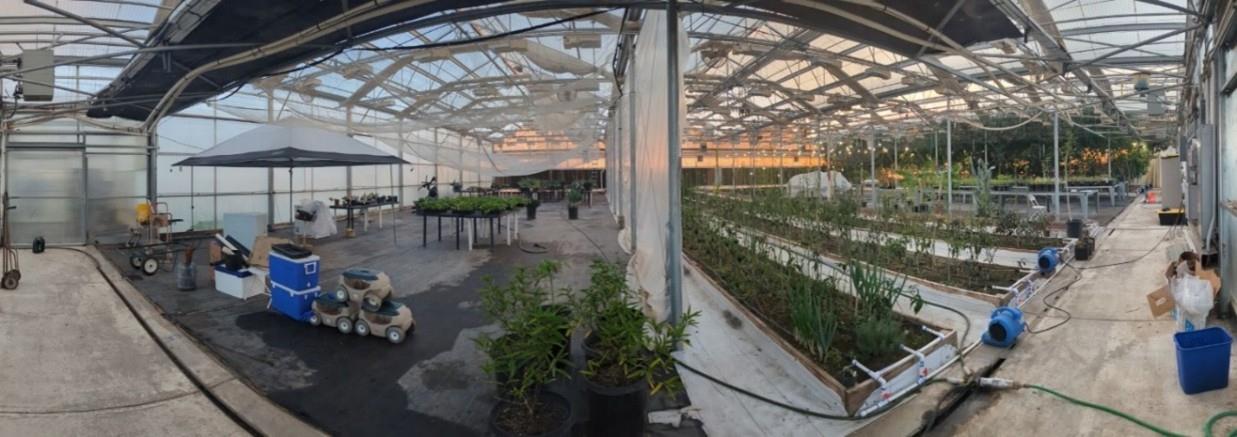 1251 Pleasant Grove Road