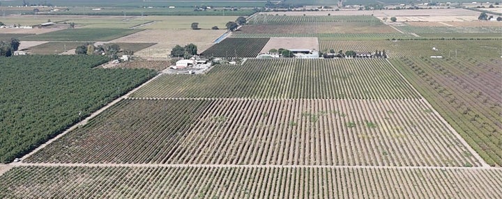 Photo 1 of 23 — 21924 N Ray Road, Lodi, CA 95242