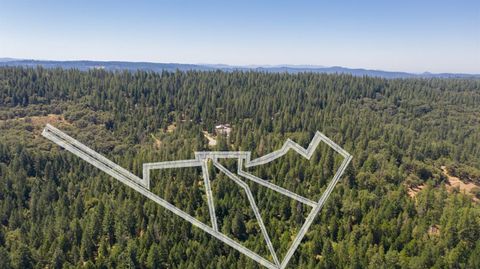 MLS: 224043526