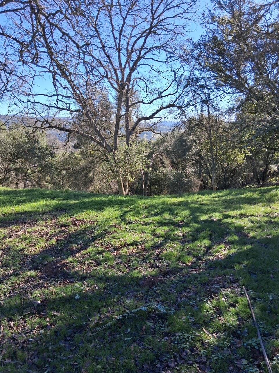 2708 Golden Gate Drive