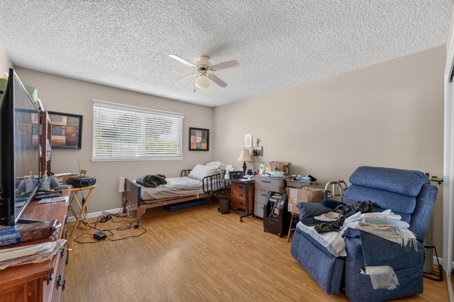 3431 Palestine Lane