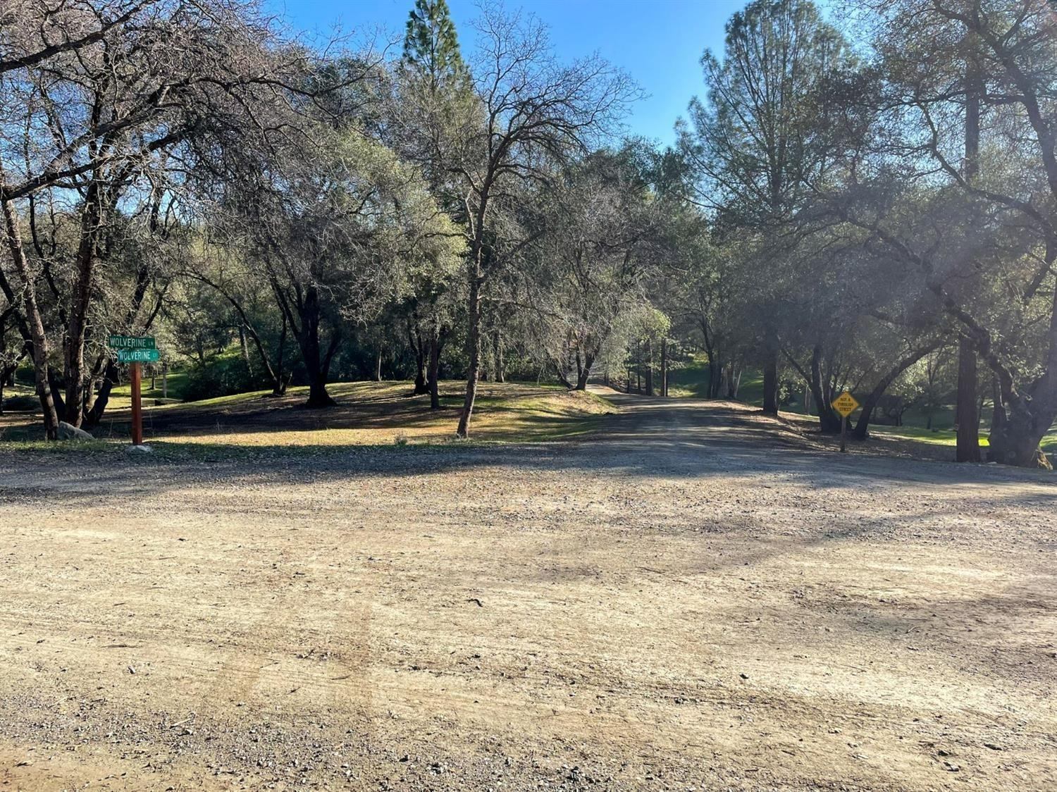 3040 Wolverine Court