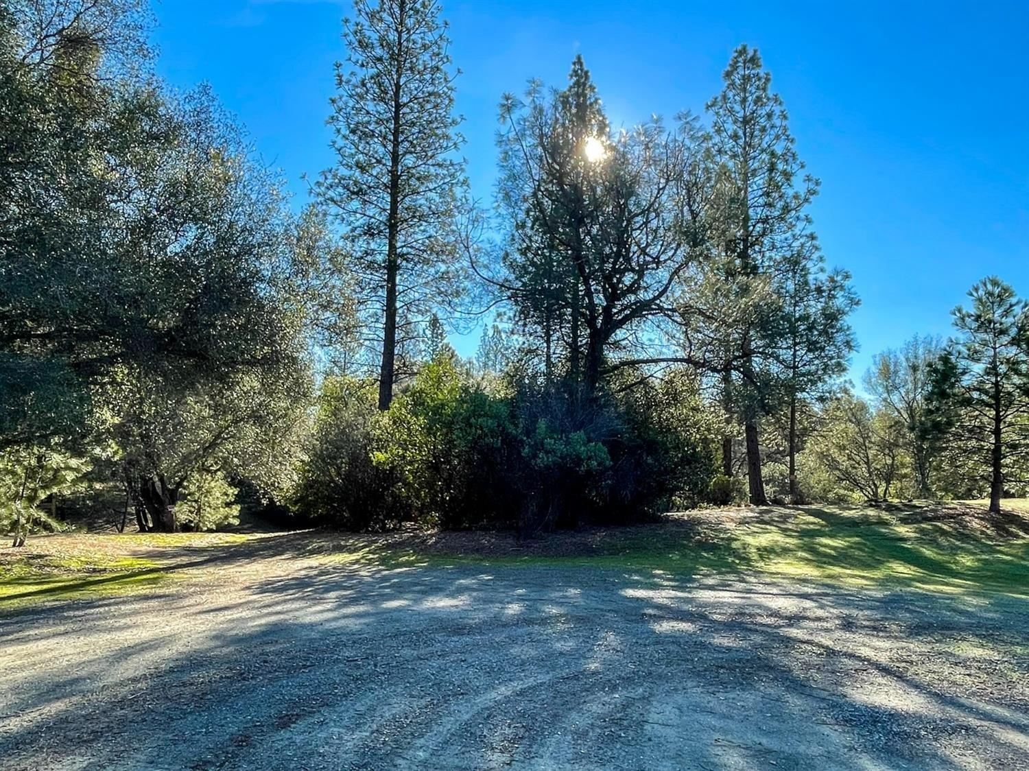 3040 Wolverine Court