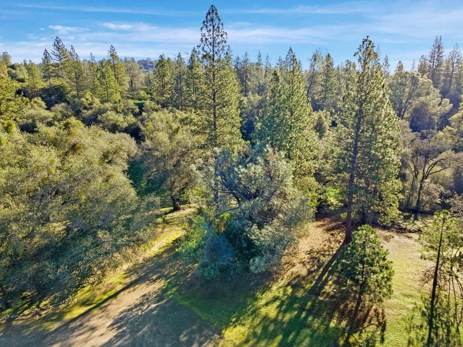 3040 Wolverine Court