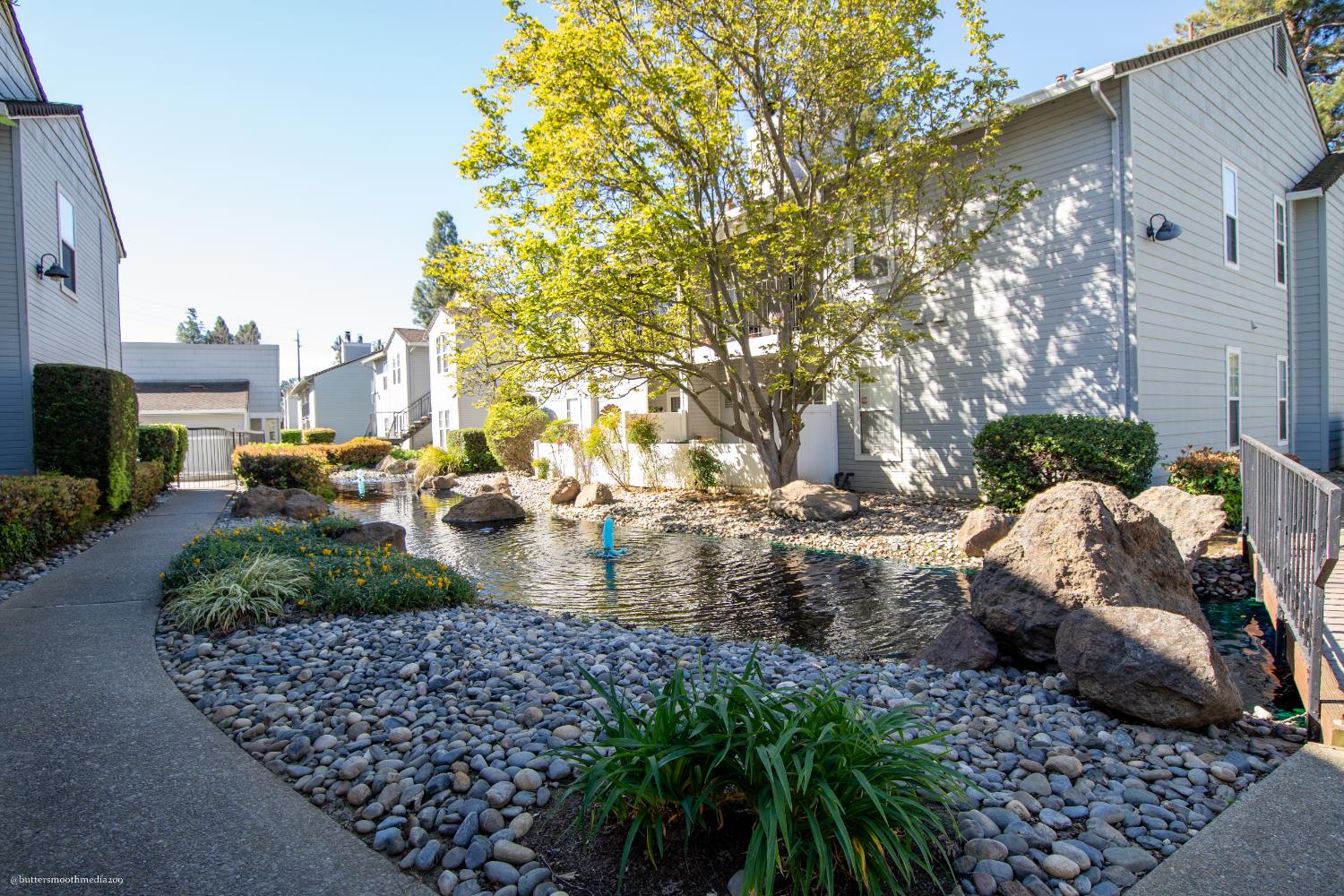 Lodi, California 95242, United States, 3 Bedrooms Bedrooms, ,2 BathroomsBathrooms,Residential,Active,167406