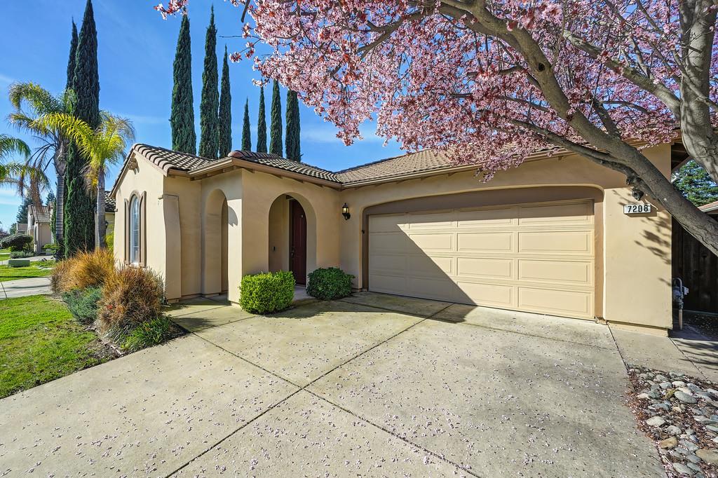 7208 Artisan Circle