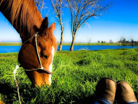 20080 E Kettleman Lane Lodi CA 95240