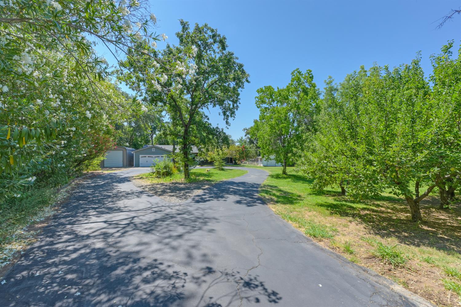 1653 Gold Rush Way