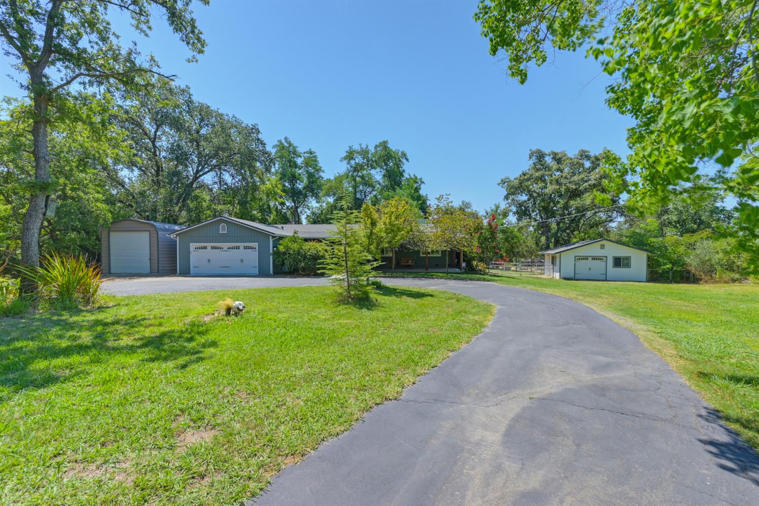 1653 Gold Rush Way