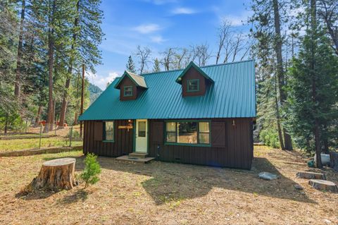 17 Squirrel Hollow Sierra City CA 96125