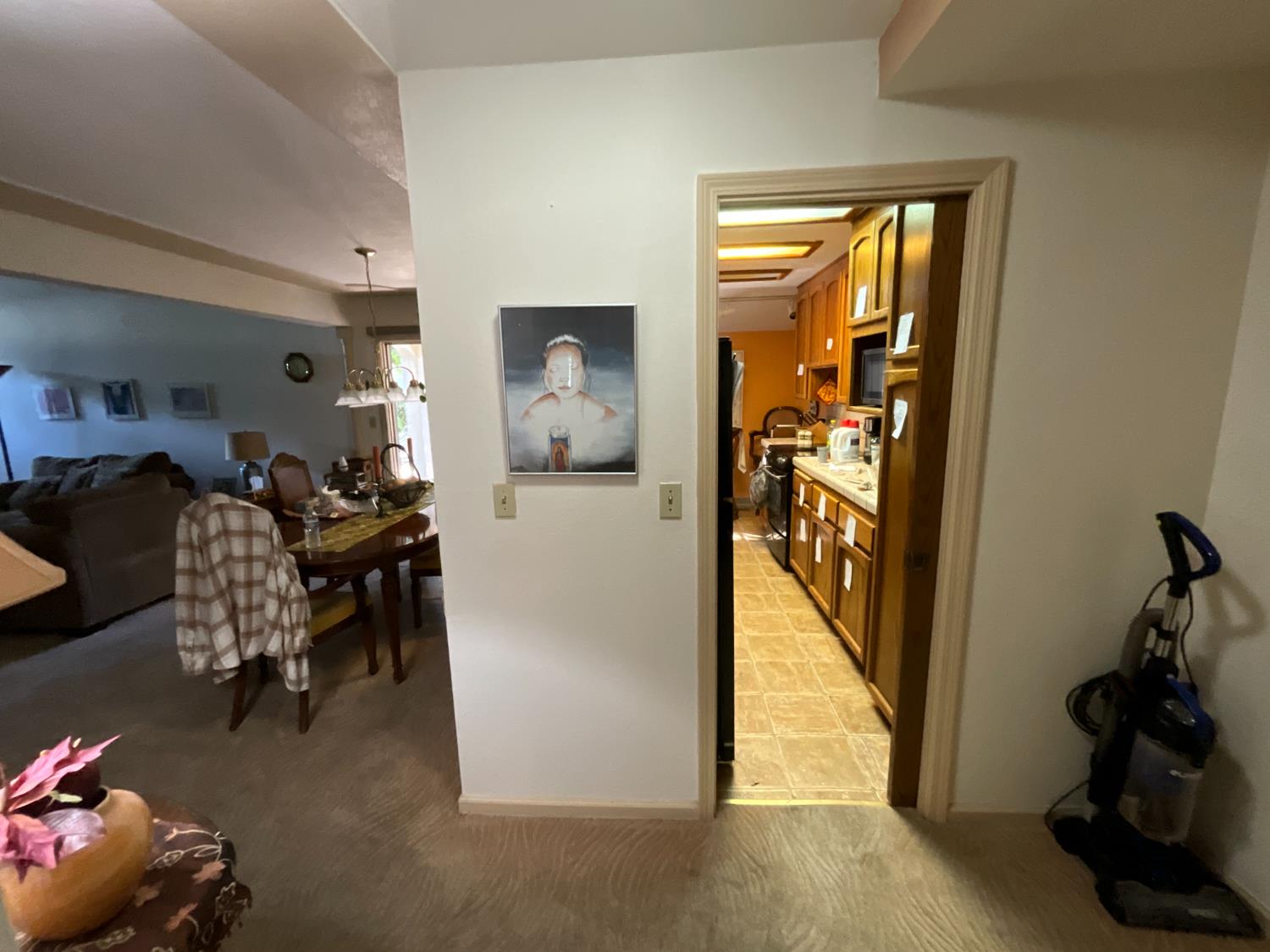 1603 Ellis Lake Drive