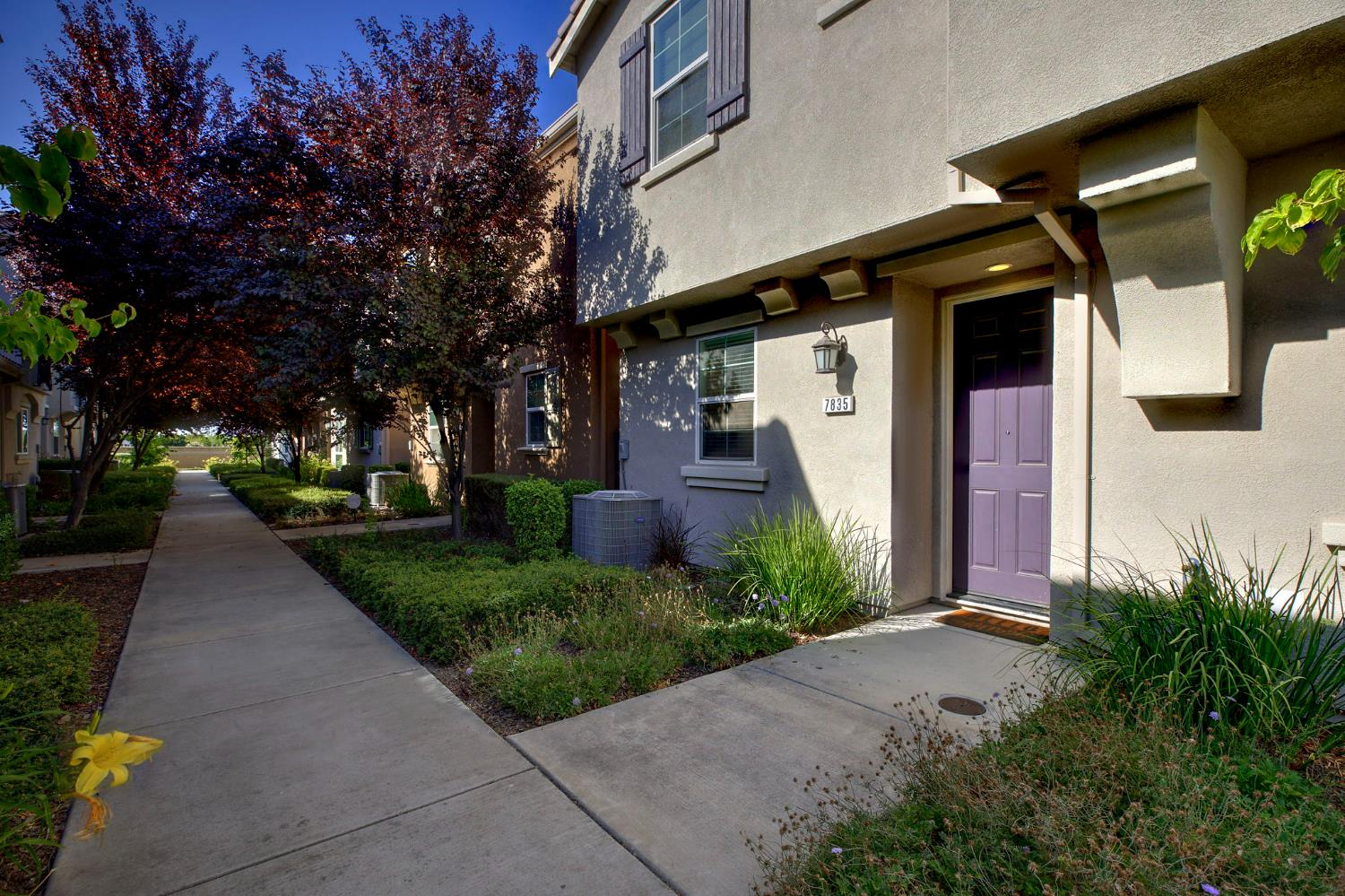 7835 Zaragoza Walk