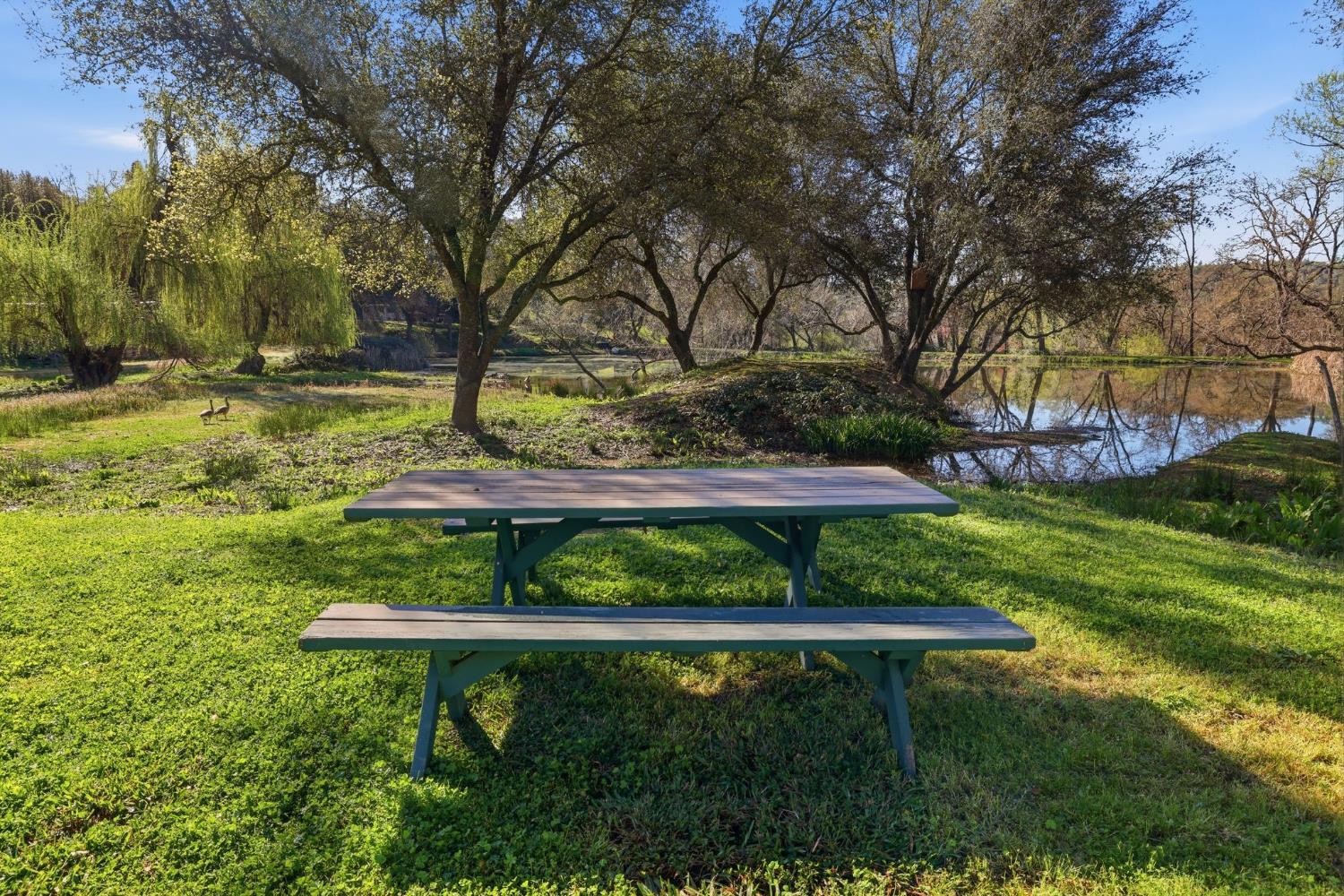 1525 Cold Springs Road 67