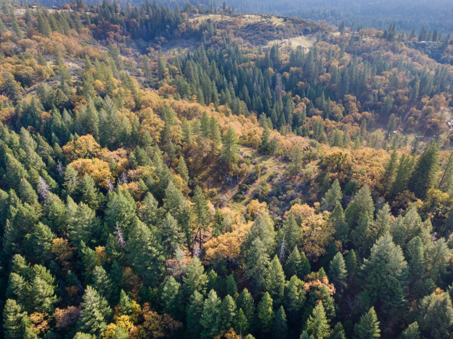 0 Starkes Grade Road