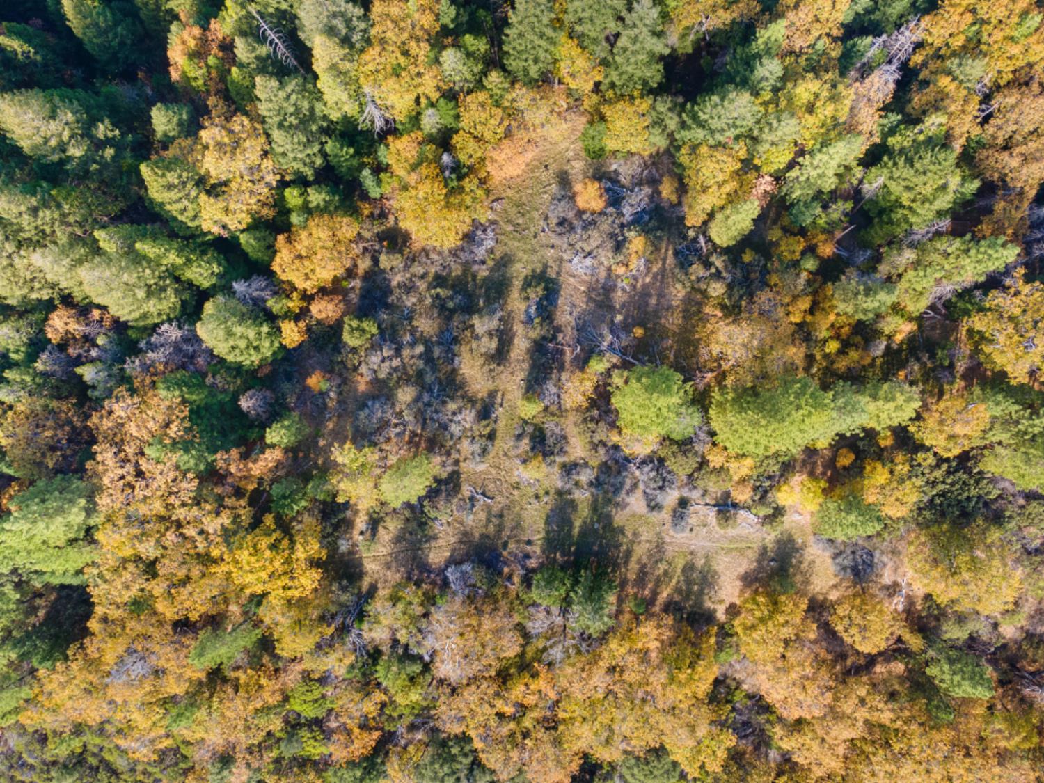 0 Starkes Grade Road