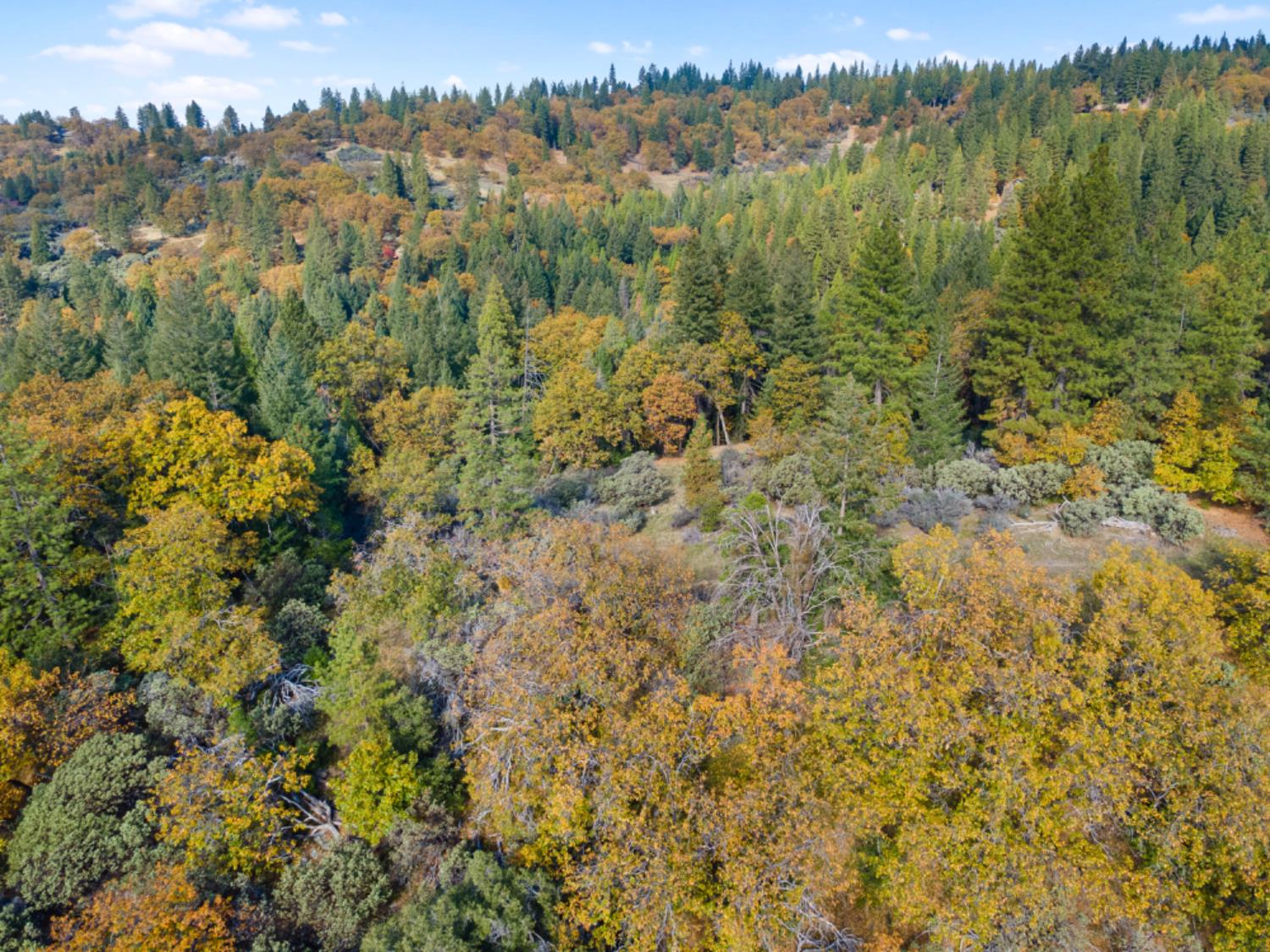 0 Starkes Grade Road