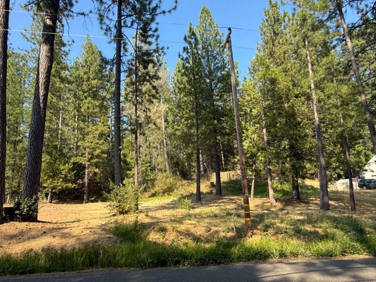 16970 OLD DOWNIEVILLE HWY, NEVADA CITY, CA 95959 - Image 9df1beeaacaa25d40ddbac6164269bc2/3587558345