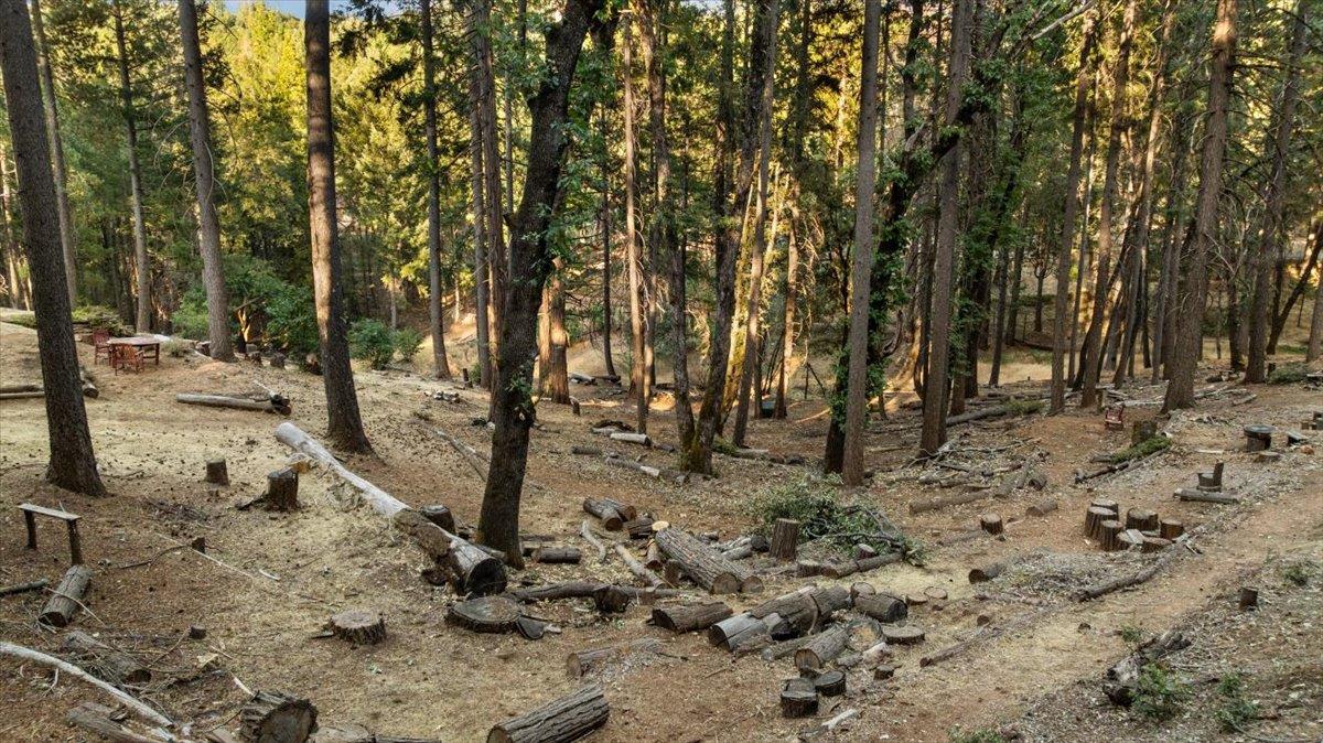 Grass Valley, California 95945, United States, 4 Bedrooms Bedrooms, ,3 BathroomsBathrooms,Residential,Active,196658