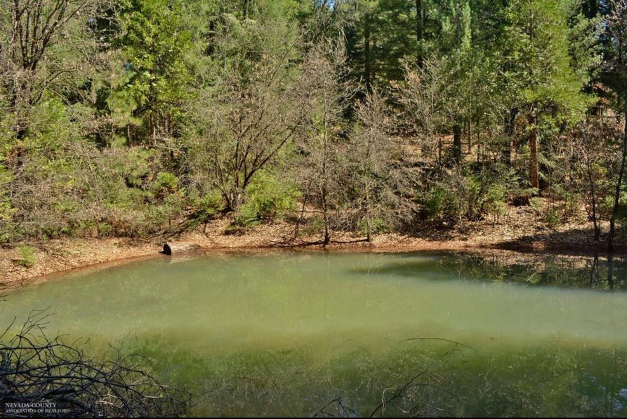 Grass Valley, California 95945, United States, 4 Bedrooms Bedrooms, ,3 BathroomsBathrooms,Residential,Active,196658