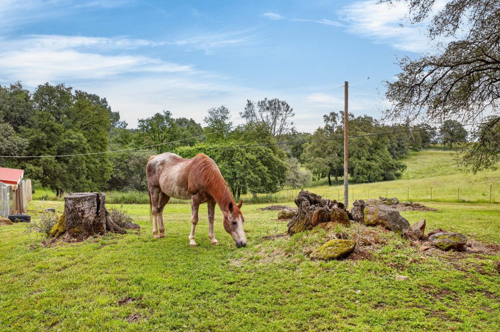 2476 Frontier Road