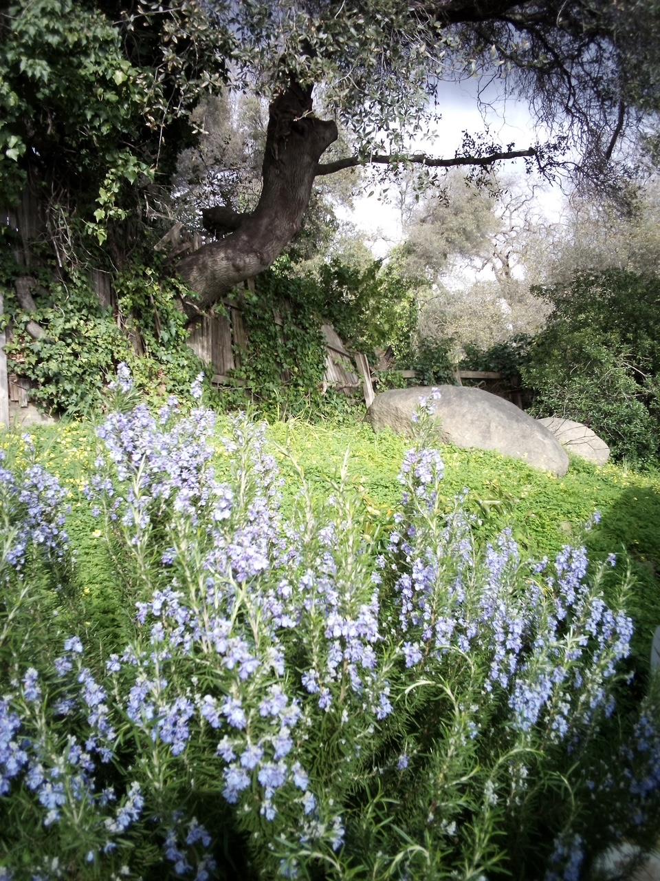 4800 Auburn Folsom Road 29