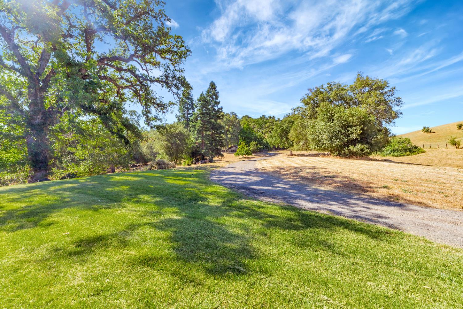 3689 Meadow Court