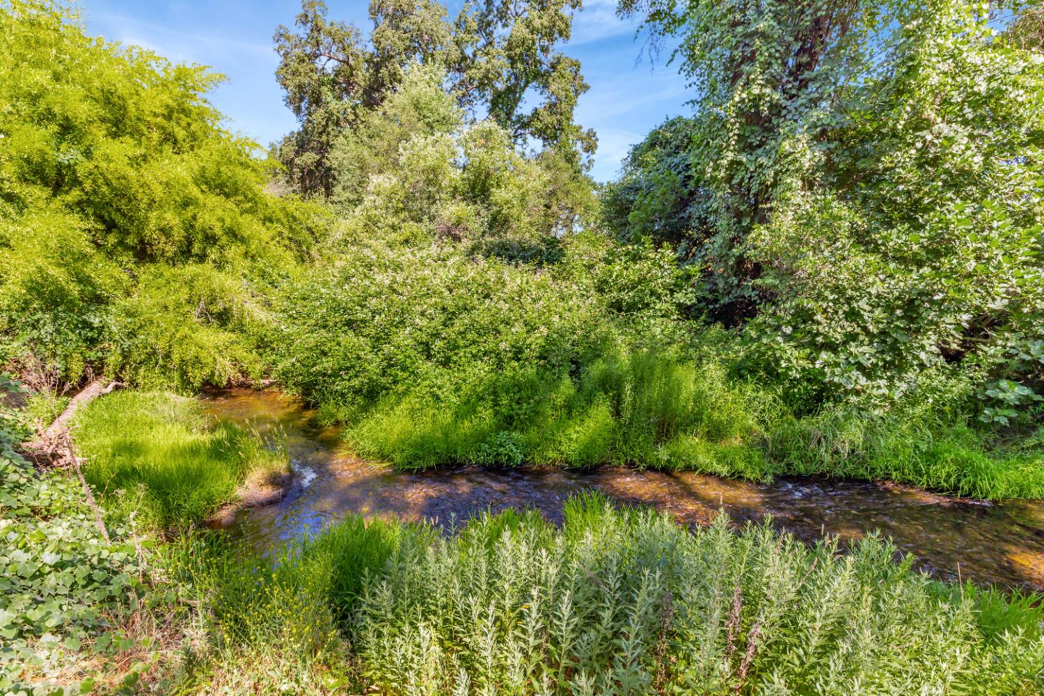 3689 Meadow Court