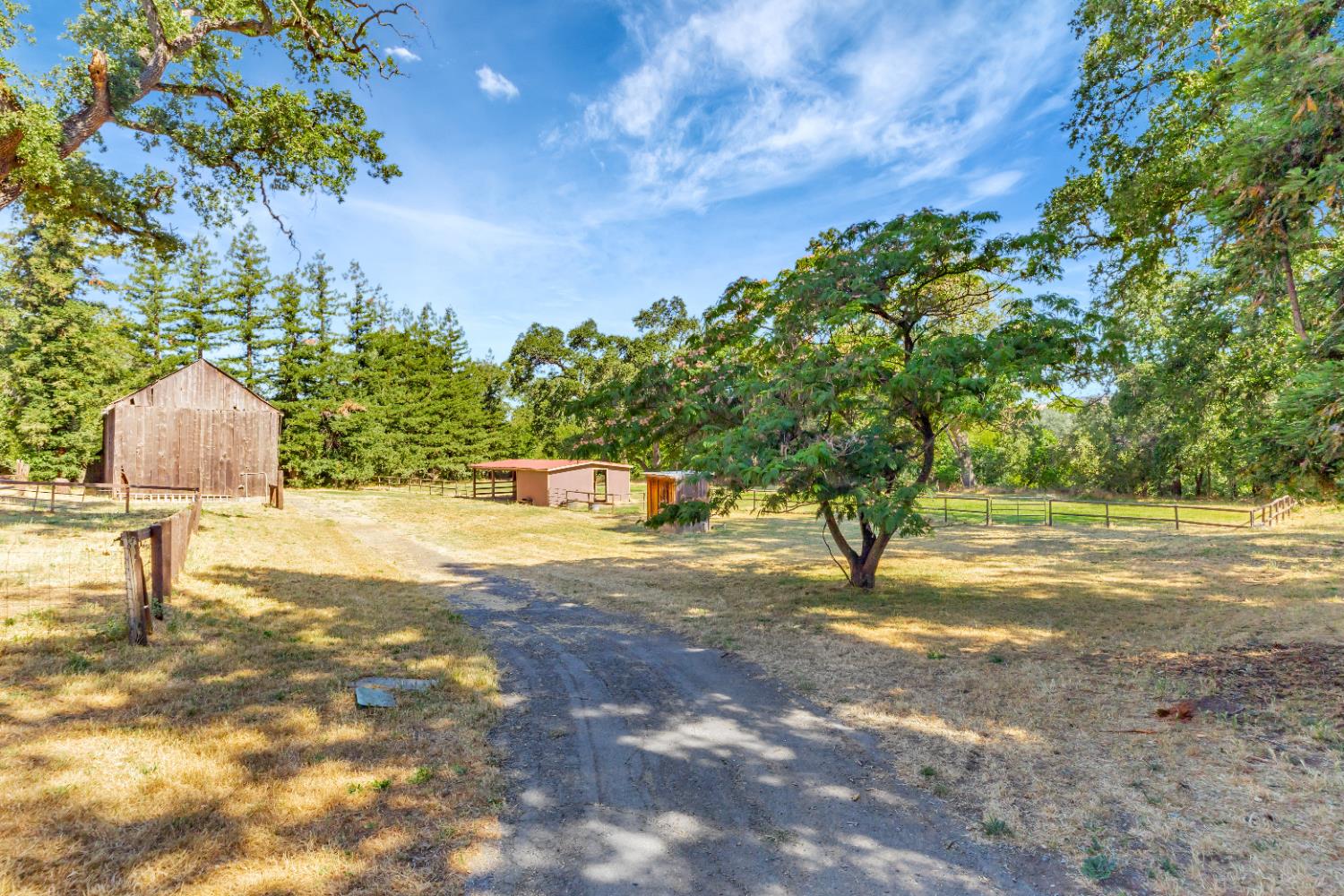 3689 Meadow Court