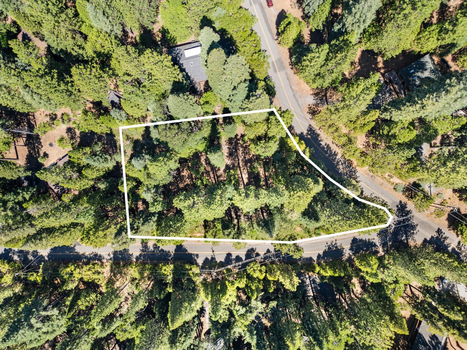 1544 Topanga Lane