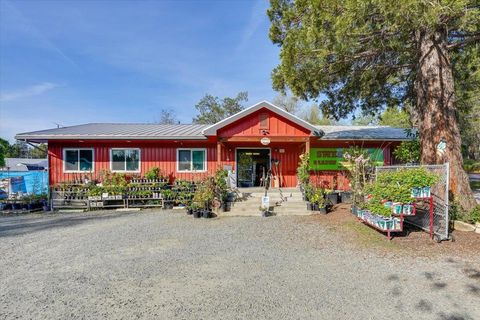 29435 State Highway 49 North San Juan CA 95960