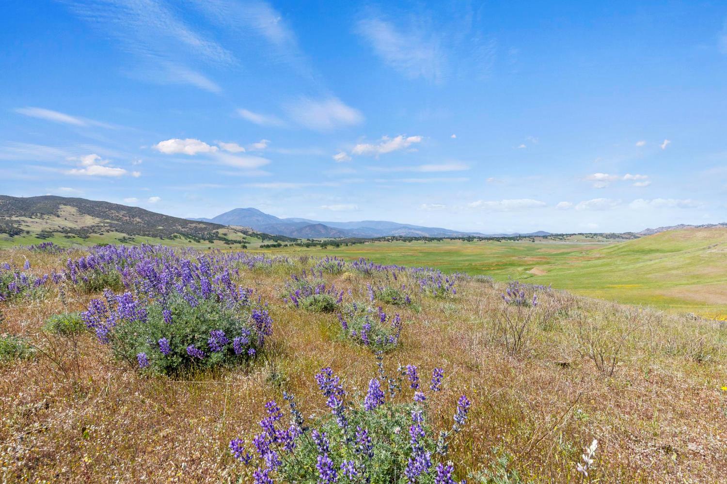 0 Lodoga Stonyford Rd