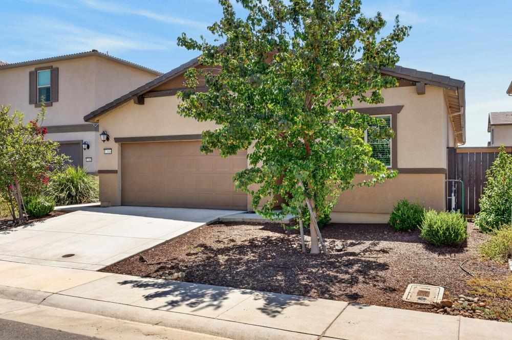 12836 Thorntonhall Drive