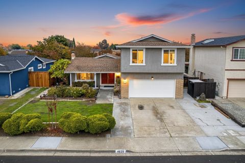 4625 ruth way Union City CA 94587