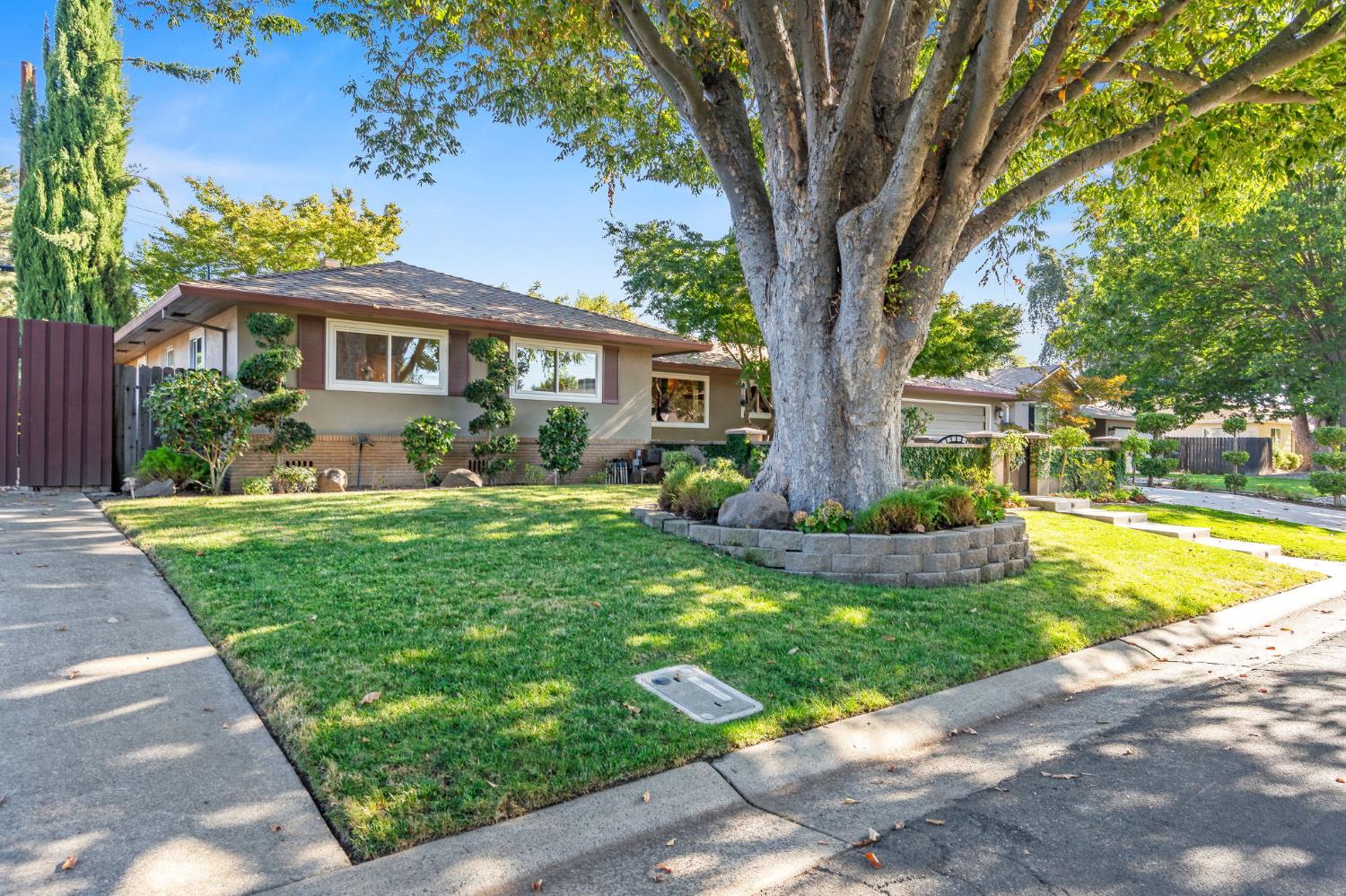 1113 Volz Drive