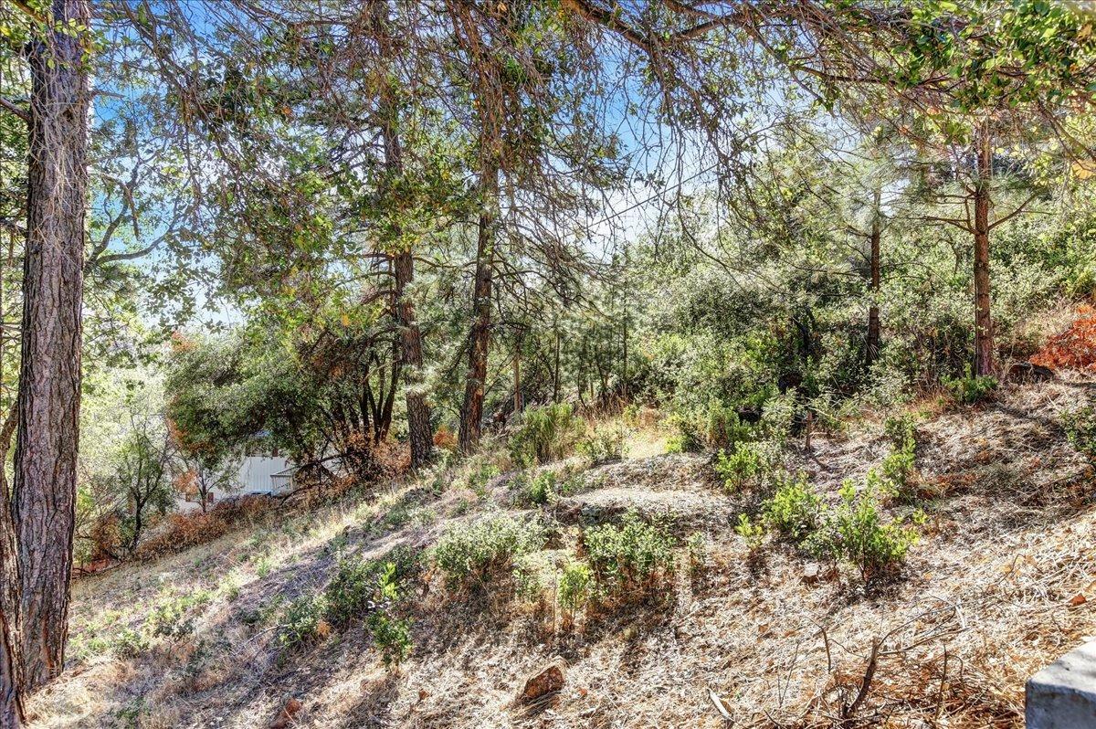 16428 Patricia Way