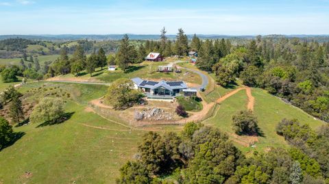 13088 Trembath Mtn Road Fiddletown CA 95629