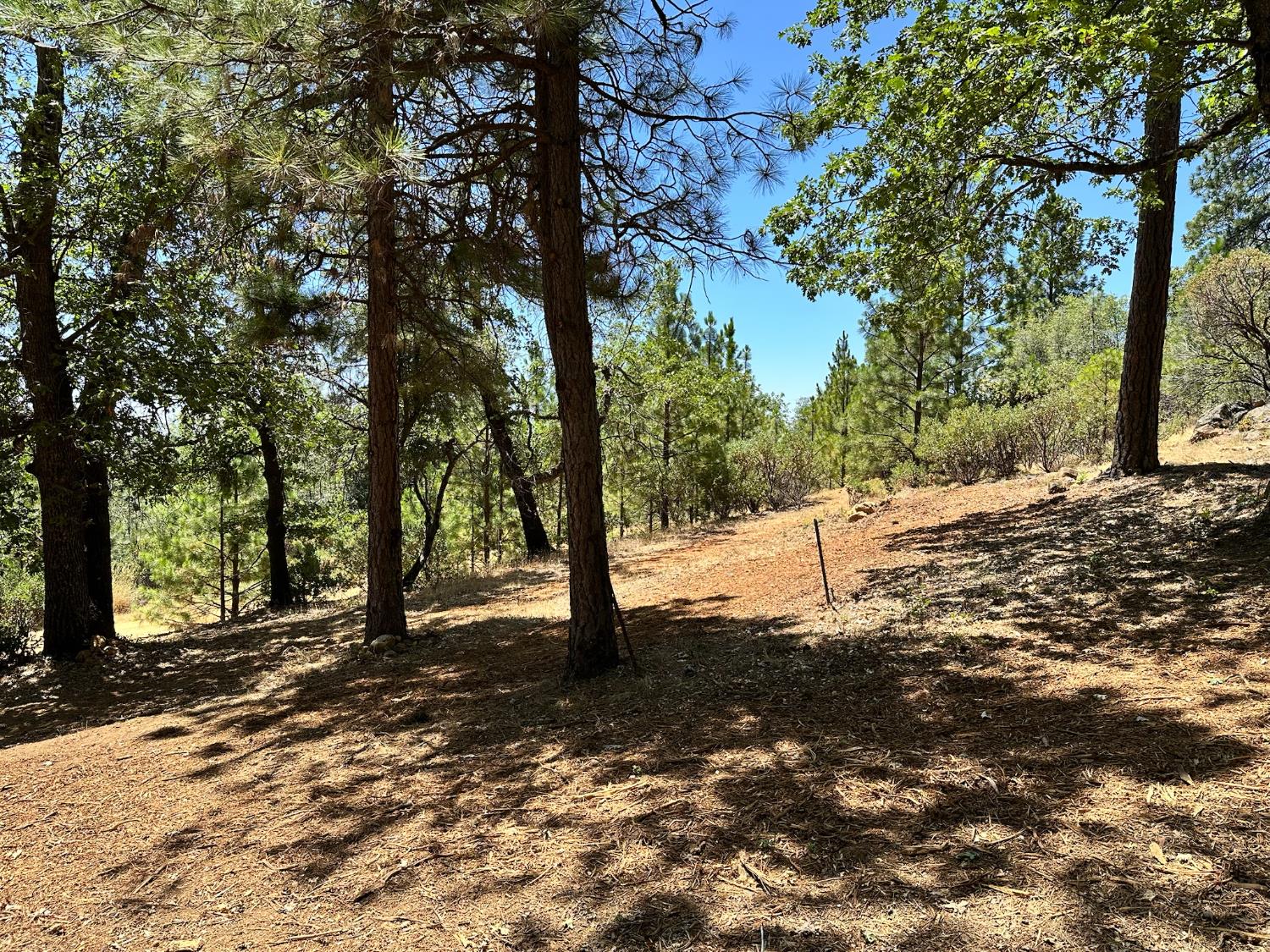 1870 E Summit View Drive