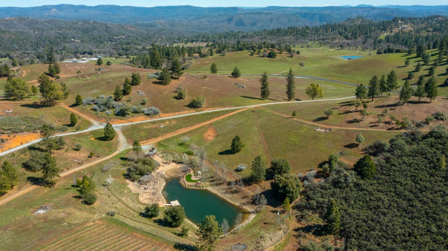 7005 Mountain Ranch Road