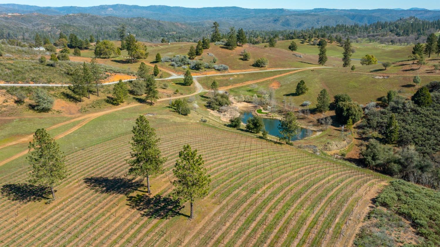 7005 Mountain Ranch Road