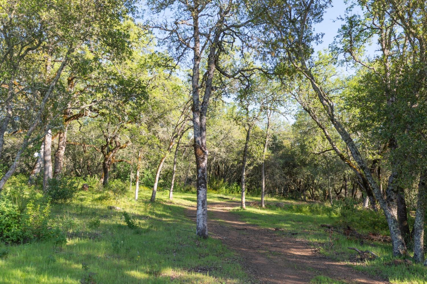 1940 Dorado Ridge Trail